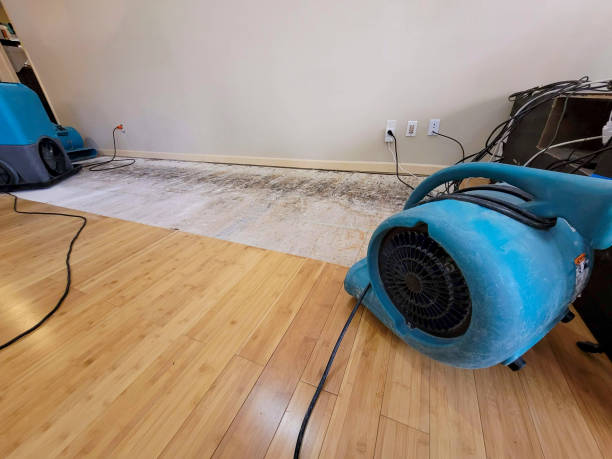 Professional Structural Drying technician working in Charleston, WV